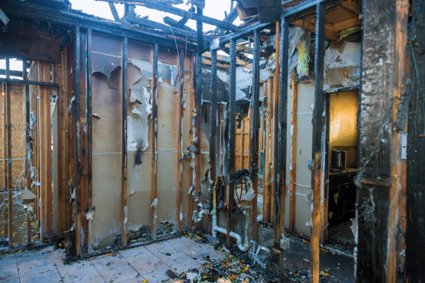 Professional Odor Removal technician working in Mendota, MN