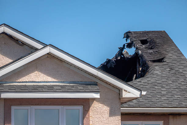 Top rated local Odor Removal specialists in Mendota, MN